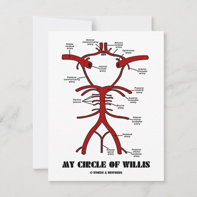 My Circle Of Willis (Arteries Anatomical Humour) (Front)