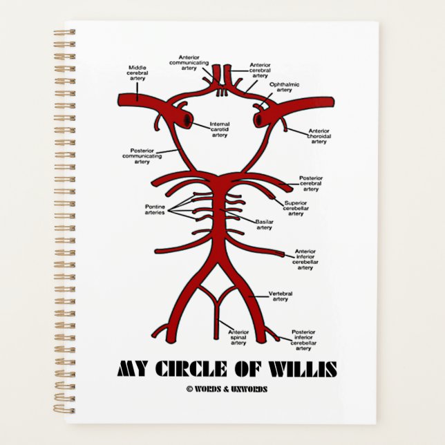 My Circle Of Willis Arteries Anatomical Humour Planner (Front)
