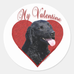 My Curly-Coated Retriever Valentine Classic Round Sticker