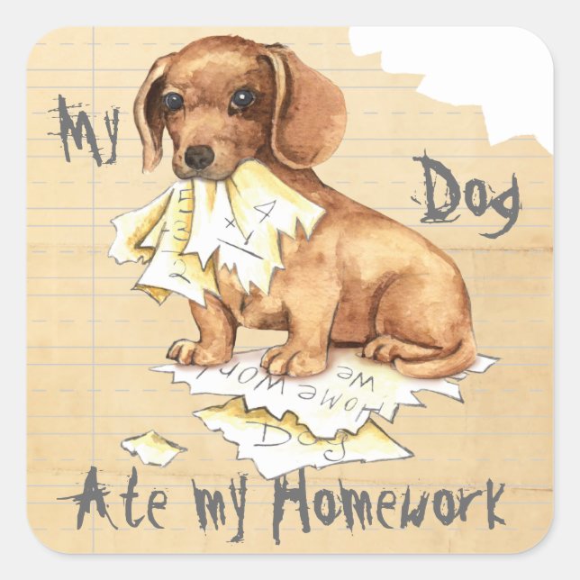 My Dachshund Ate My Homework Square Sticker (Front)