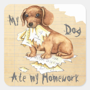 My Dachshund Ate My Homework Square Sticker