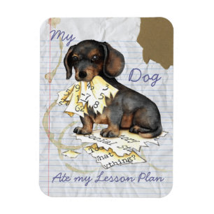 My Dachshund Ate My Lesson Plan Magnet