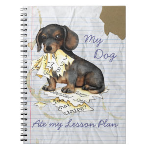 My Dachshund Ate My Lesson Plan Spiral Notebook
