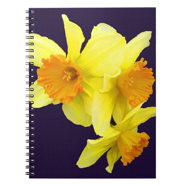 My Daffodil Notebook (add your name) (Front)