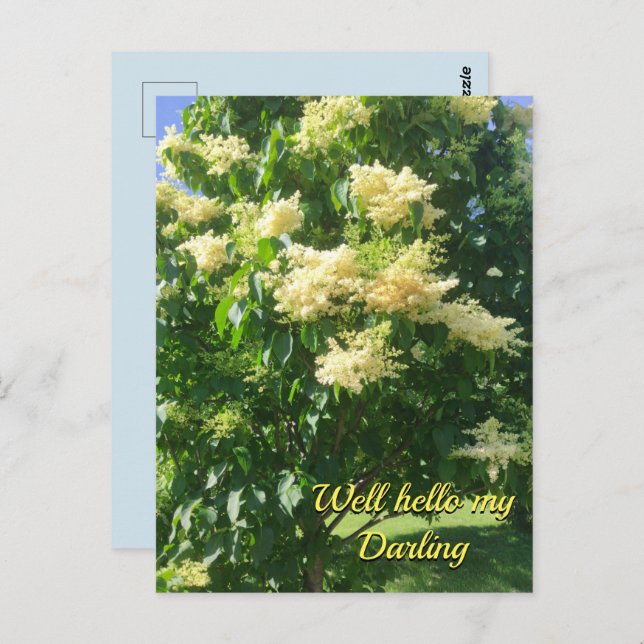 My Darling Postcard (Front/Back)