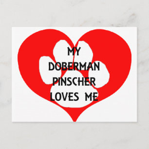 my doberman pinscher loves me.png postcard