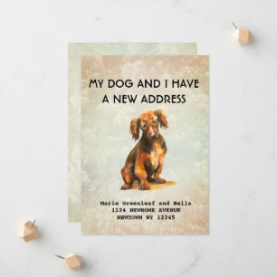 My dog and I have moved Announcement