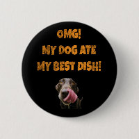 My dog ate my best dish stainless steel water bott