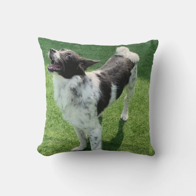 My dog cushion (Front)