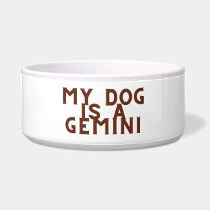 My dog is a gemini