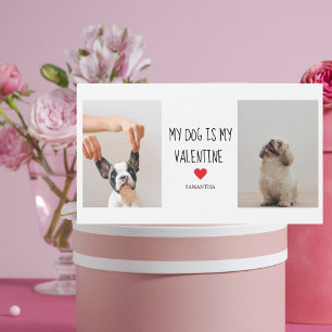My Dog Is My Valentine Two Dog Photos