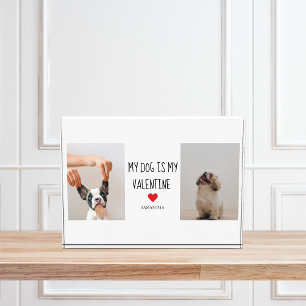 My Dog Is My Valentine   Two Dog Photos