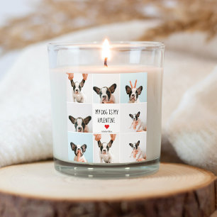 My Dog Is My Valentine   Two Dog Photos  Square Sticker