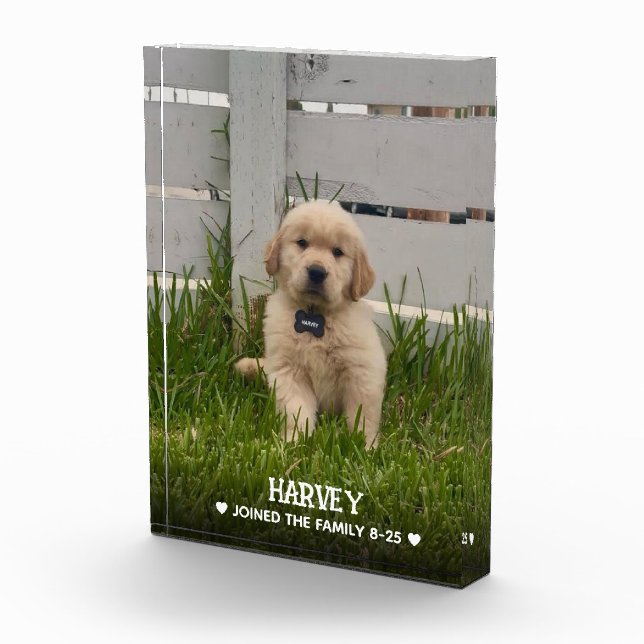 My Dog Photo (Right)