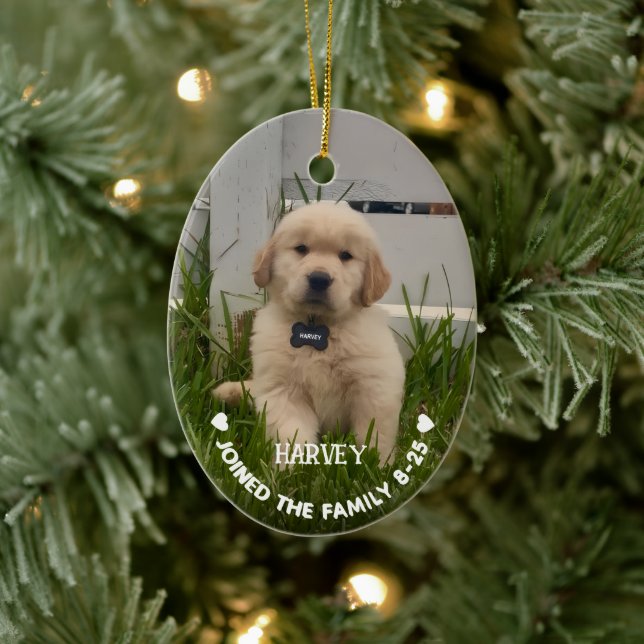 My Dog Photo Christmas Ceramic Tree Decoration (Tree)
