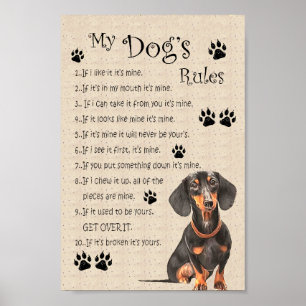 My dogs rules poster