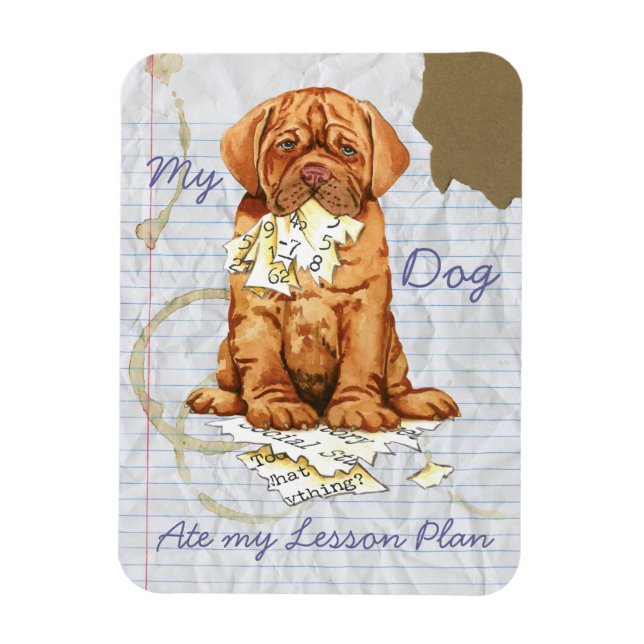 My Dogue de Bordeaux Ate My Lesson Plan Magnet (Vertical)