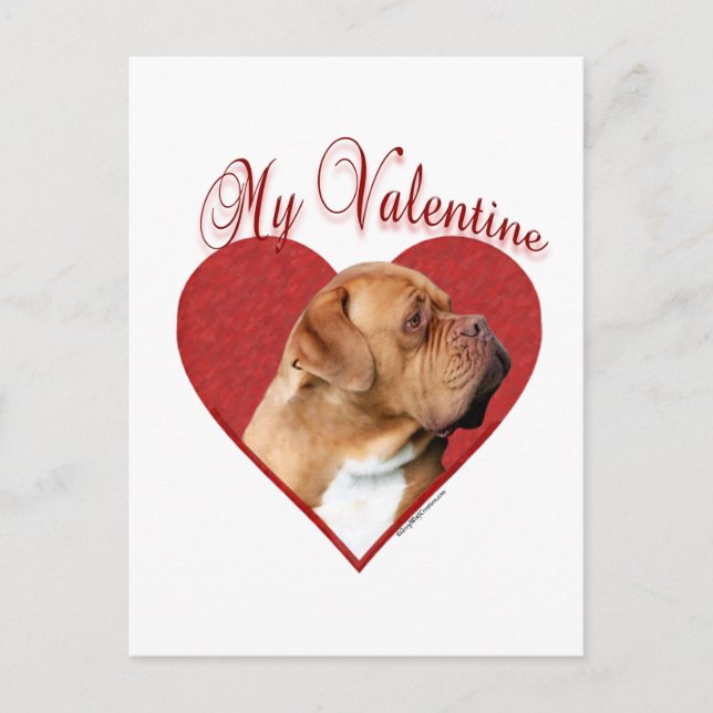 My Dogue de Bordeaux Valentine Holiday Postcard (Front)