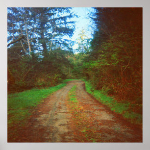 My driveway in Klamath, California...... Poster