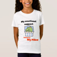 My Emotional Support Pillow