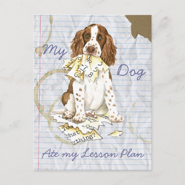 My English Springer Spaniel Ate My Lesson Plan Postcard (Front)