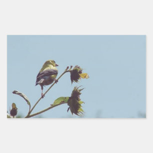 My fave little visitors.  #bird #nature #wildlife rectangular sticker