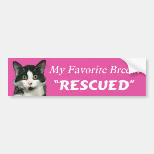 My Favourite Breed Cat Bumper Sticker