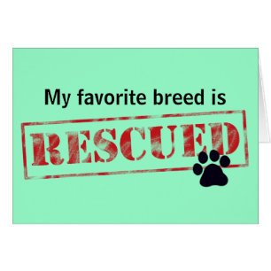 My Favourite Breed Is Rescued