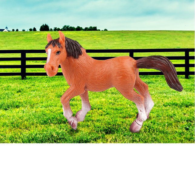 My Favourite Horse Cushion (Creator Uploaded)
