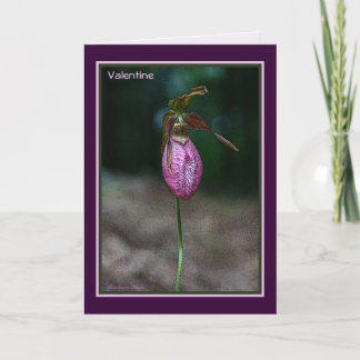 My Favourite Lady: Valentine's Day Holiday Card