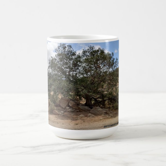 My Favourite Tree! from the Flower Collection Coffee Mug (Center)