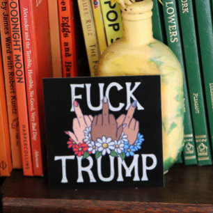 My Feelings on Donald Trump United we Stand Poster