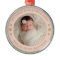 My First Christmas Blush Gold Custom Baby Photo
