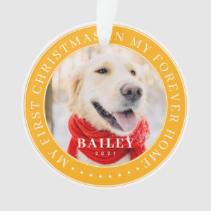 My First Christmas Forever Home Modern Pet Photo Ornament
