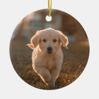 My First Christmas Modern Script Puppy Pet Photo Ceramic Tree Decoration