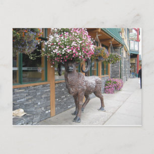 My Flower Hat Postcard