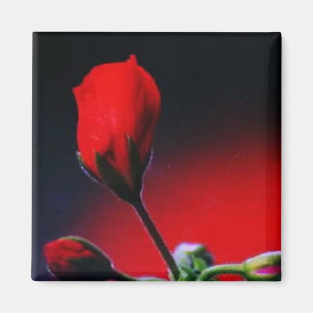 My Flower Magnet (Front)