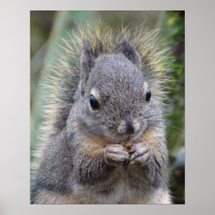 My Friend Fuzzy Poster