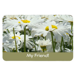 My Friend! magnets Whtie Daisies Flowers Friends