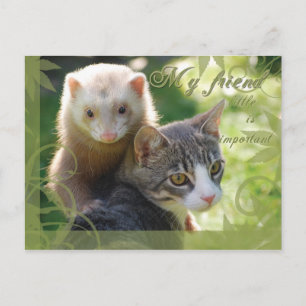 My Friend Postcard