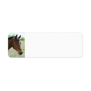 My Friend, The Horse - Personalised