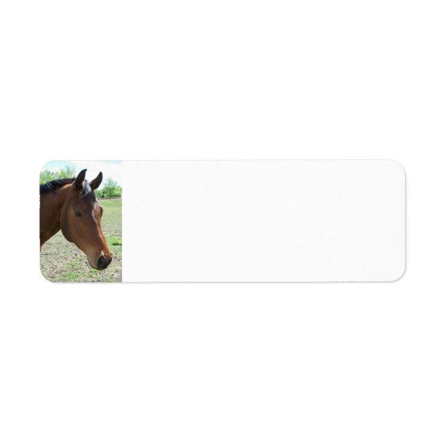 My Friend, The Horse - Personalised (Front)