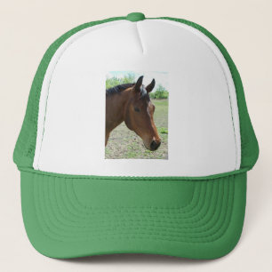My Friend, The Horse Trucker Hat