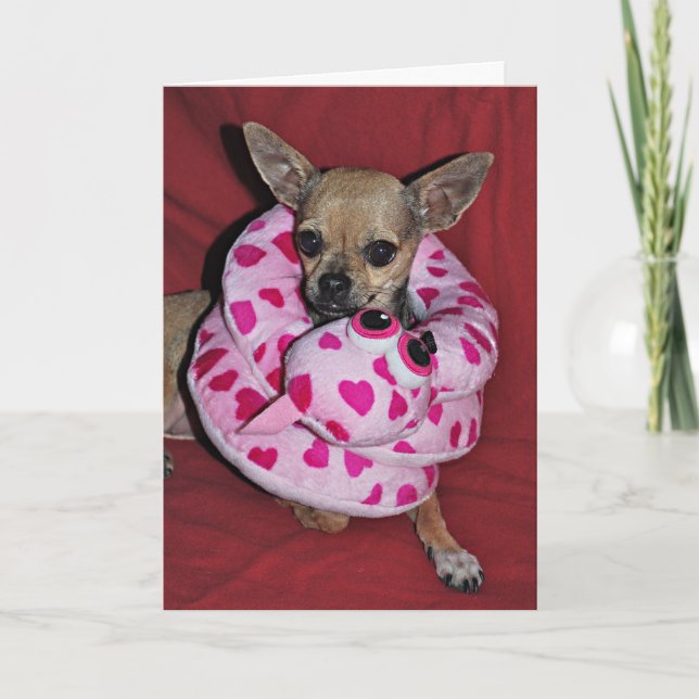 My Funny Valentine Holiday Card (Front)