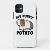 My furry potato guinea pig