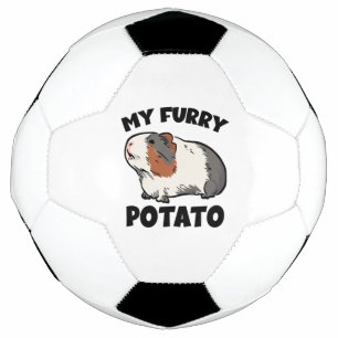 My furry potato guinea pig soccer ball