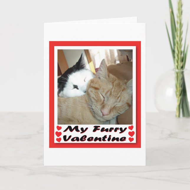 My Furry Valentine Holiday Card (Front)
