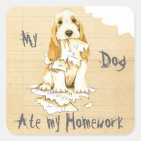 My GBGV Ate my Homework