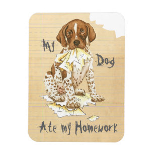 My German Shorthaired Pointer Ate My Homework Magnet