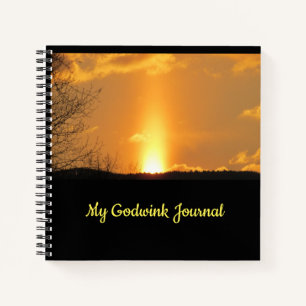 My Godwink Journal